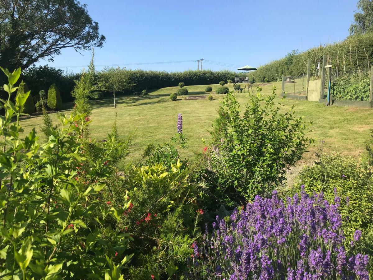 The Rag House Bed and Breakfast Upton upon Severn Eksteriør billede